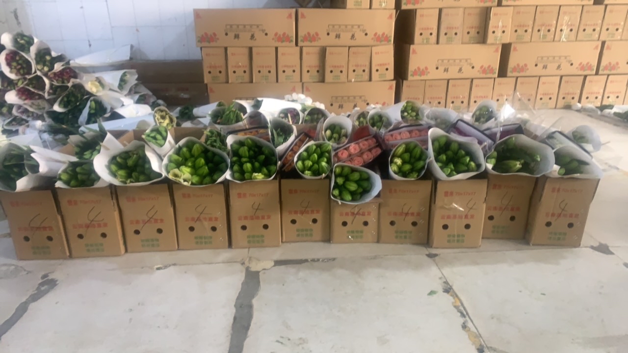 9号杂烩百合混头混品种，除了不开其他不售后