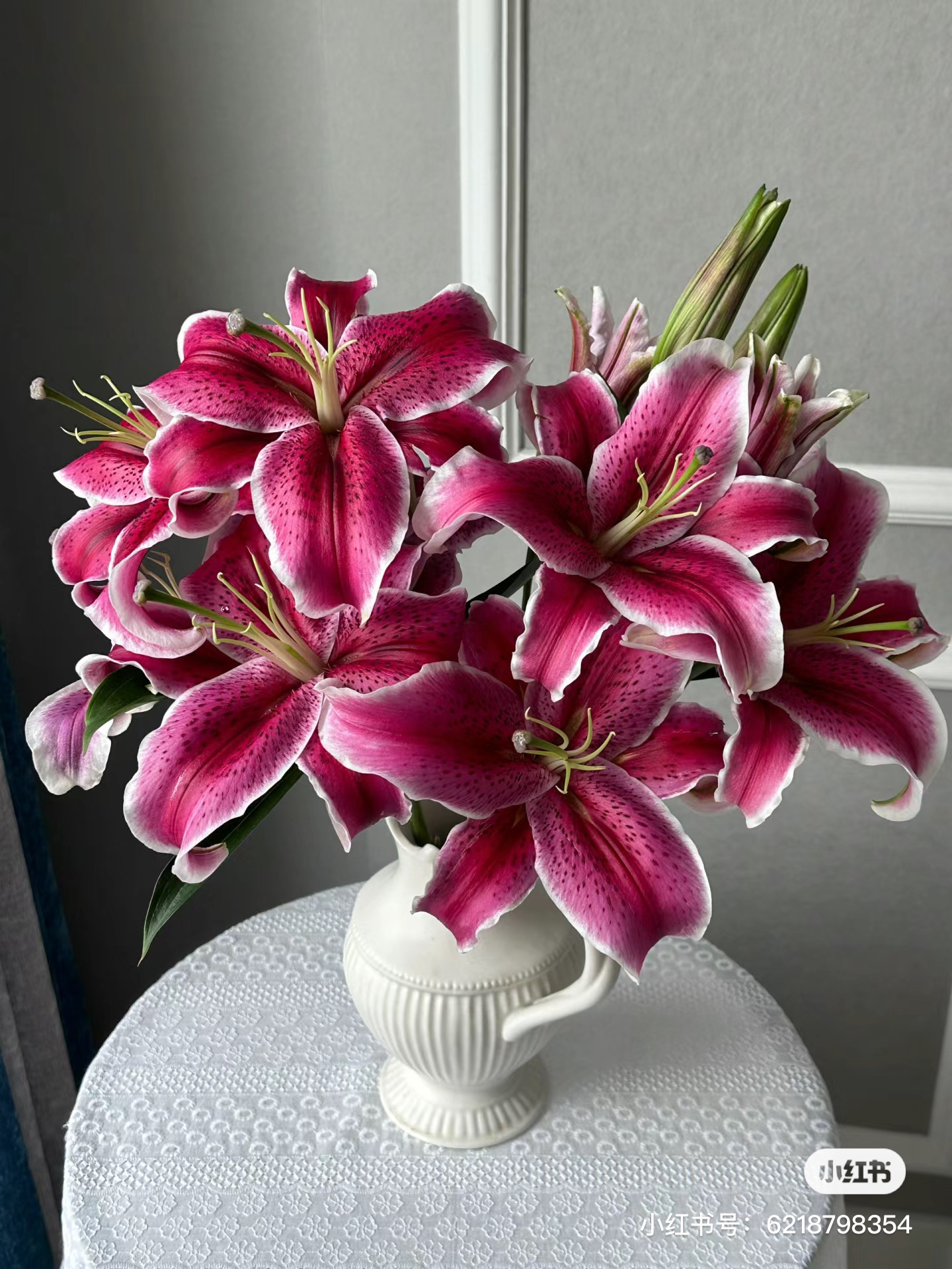 11号小黑美人百合把混头，看好在拍不售后