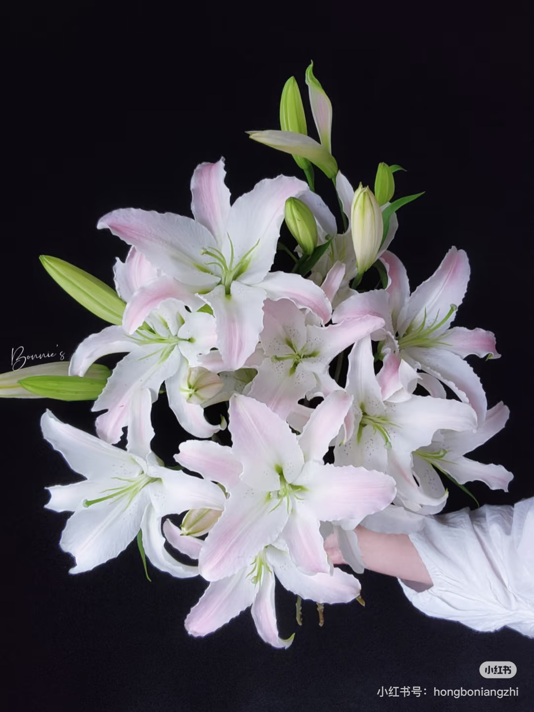 11号马可波罗百合混头小包，我要买我不售后