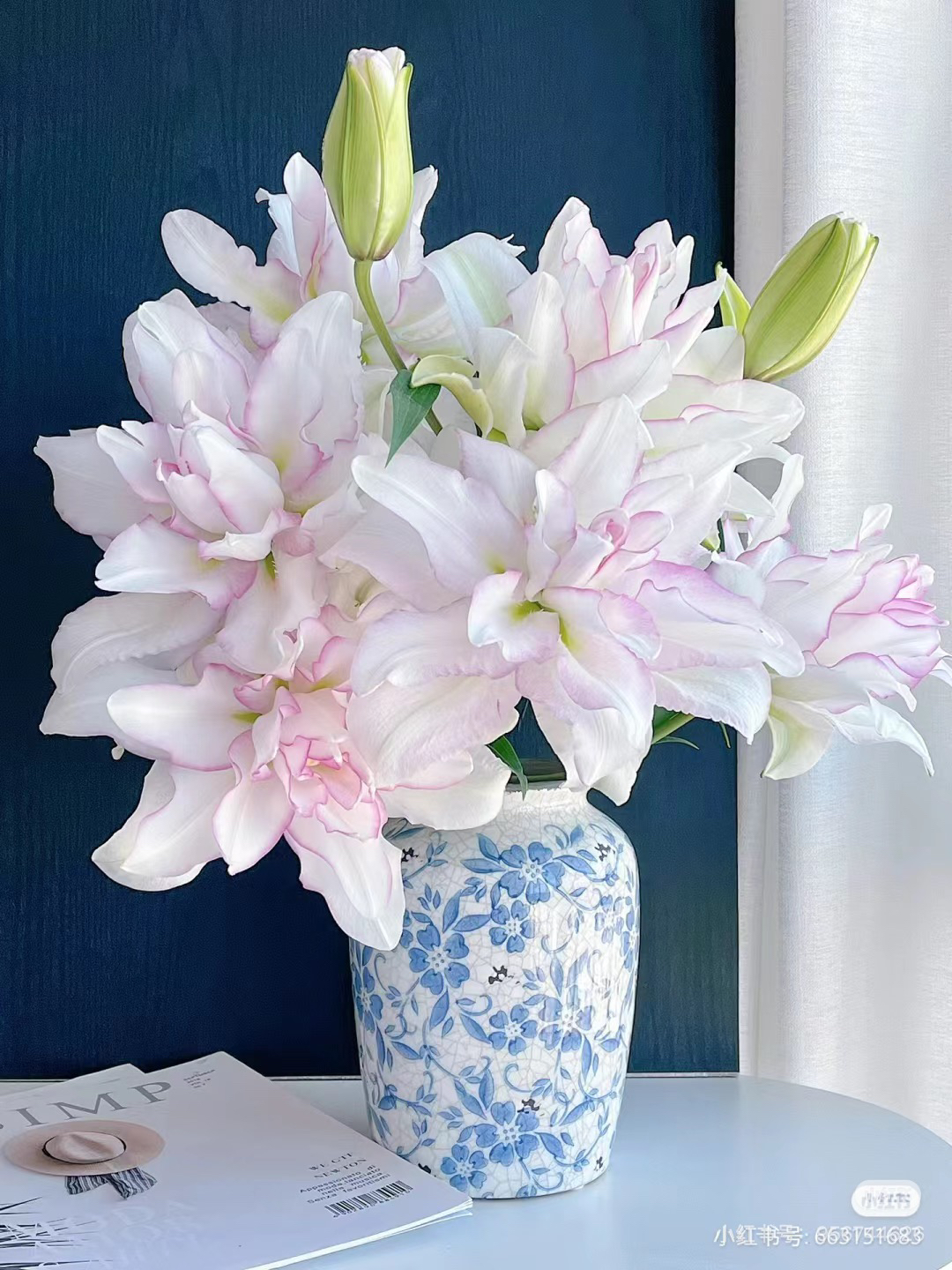 8号冰美人重瓣百合单头，我要买我不售后