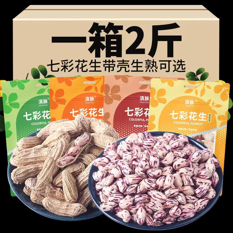 七彩野地花生云南新货甘甜带壳熟花生七彩花生五彩水果花生种子