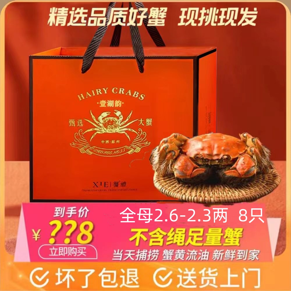 壹湖韵【活蟹现货】鲜活当天现捕大闸蟹全母蟹2.6-2.3两8只装