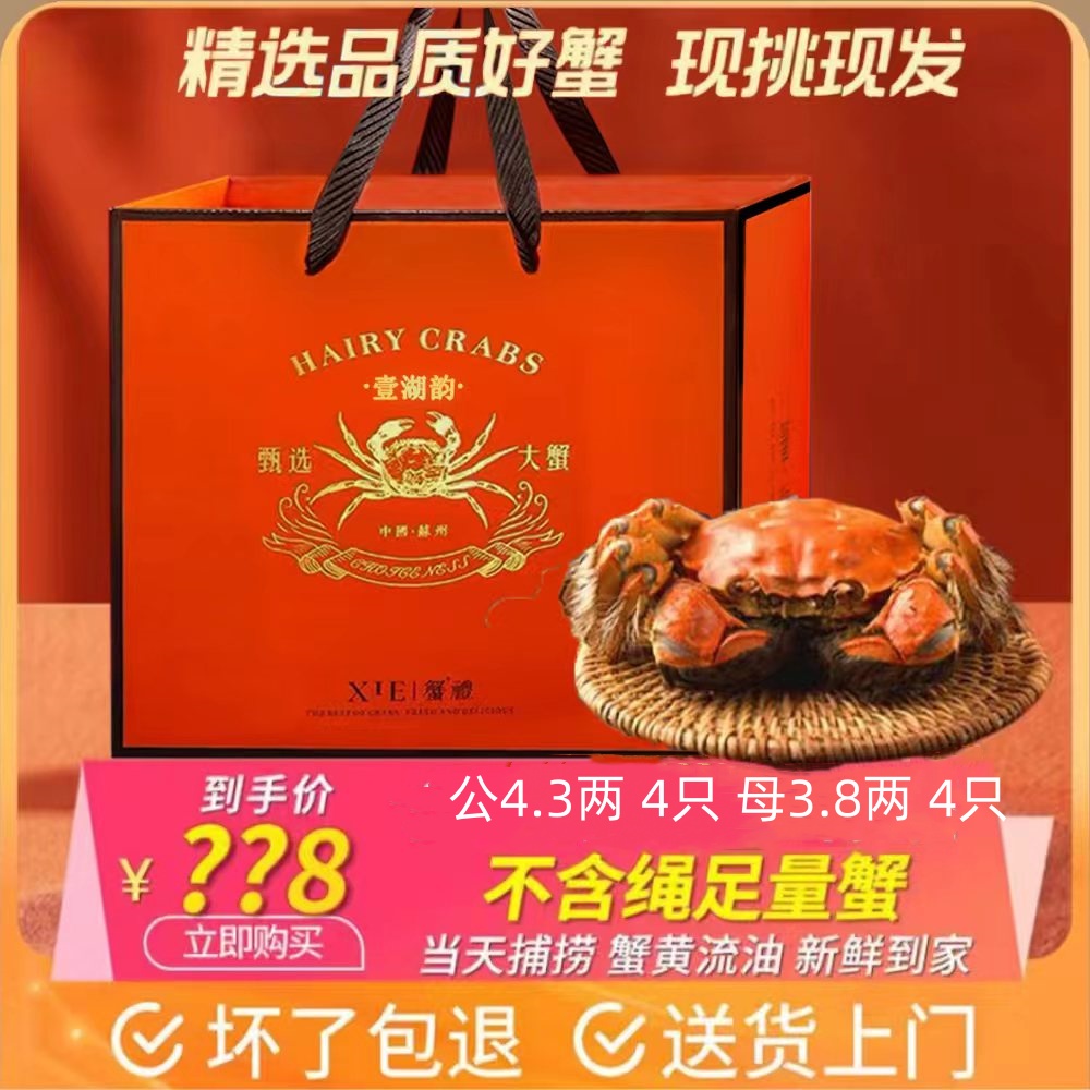 壹湖韵【活蟹现发】公4.3两母3.8两4对公母对半鲜活大闸蟹