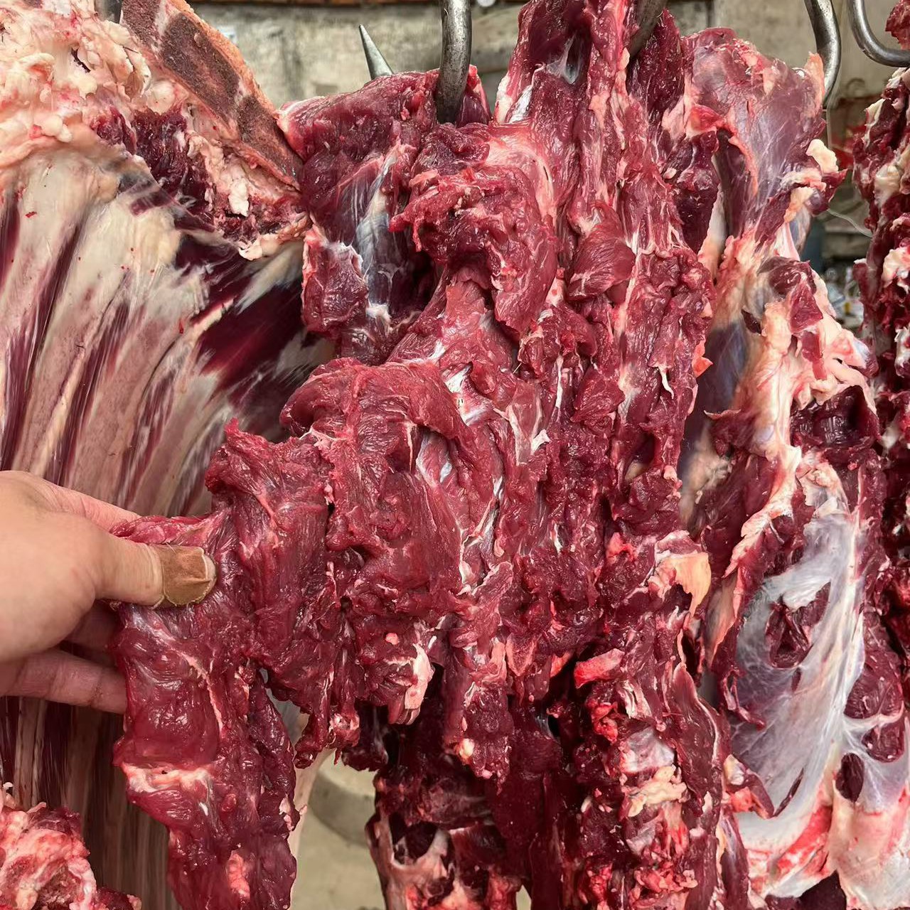 农村自家吃草黄牛肉