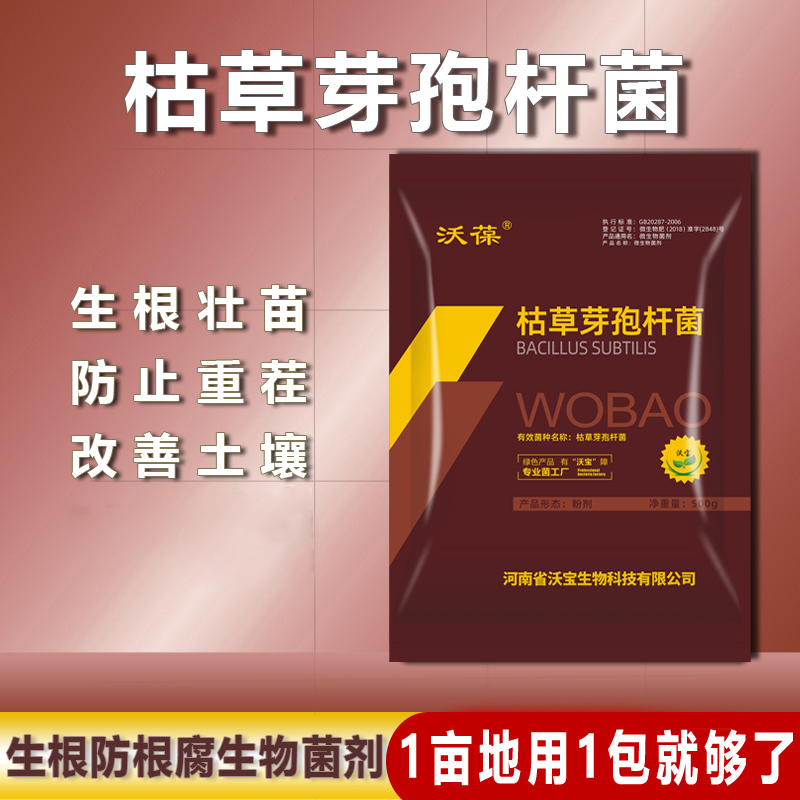 枯草芽孢杆菌防根腐病立枯青枯土传病害微生物菌剂高活性生物菌肥