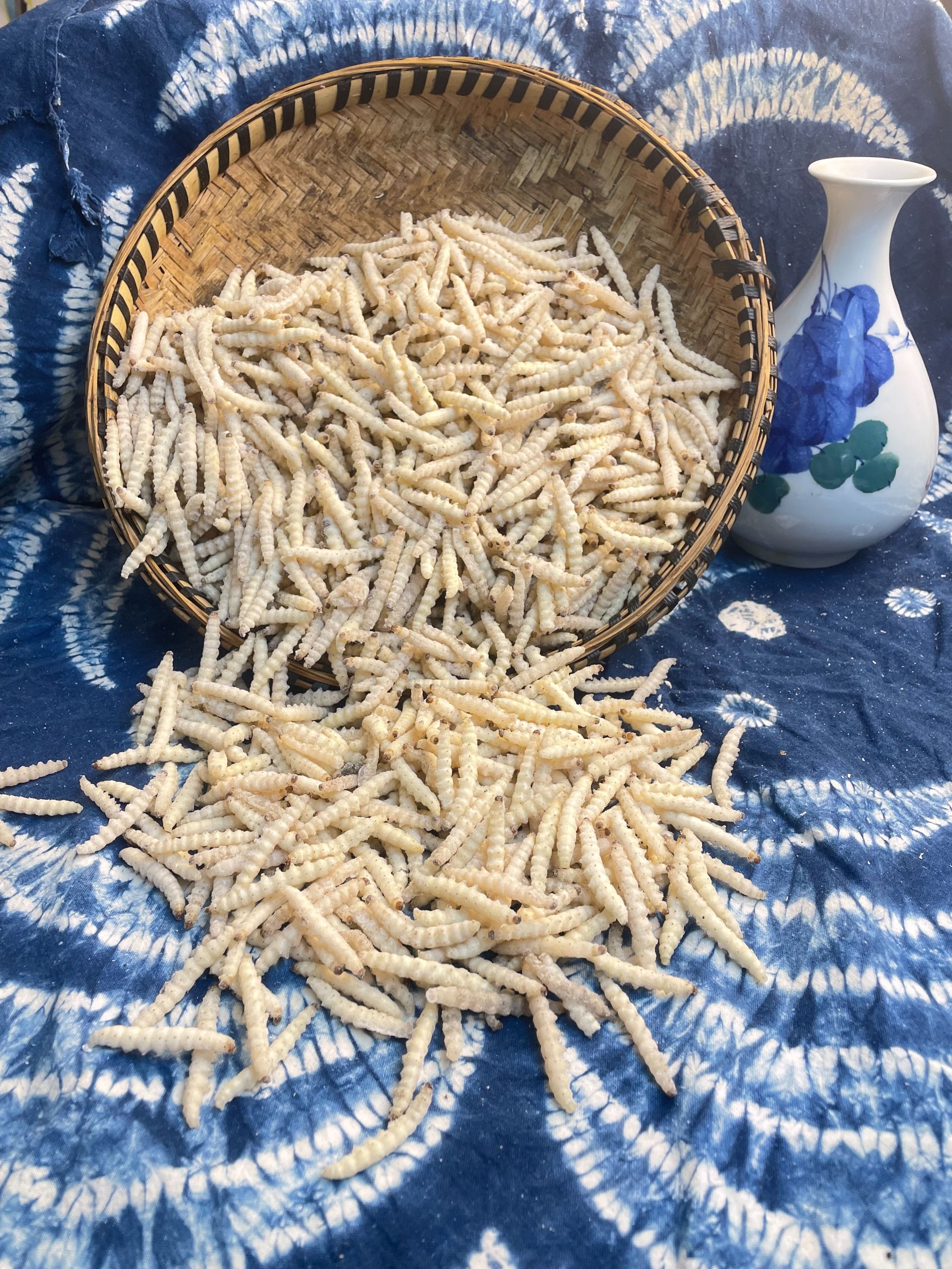 云南竹蛹竹笋虫鲜活速冻竹节虫  500g