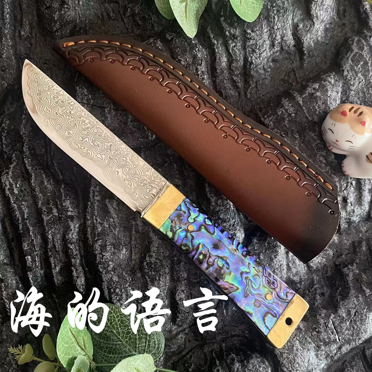 刀水果刀家用小刀刀具防身冷兵器鲍鱼贝壳手柄大马士革钢直刀现货