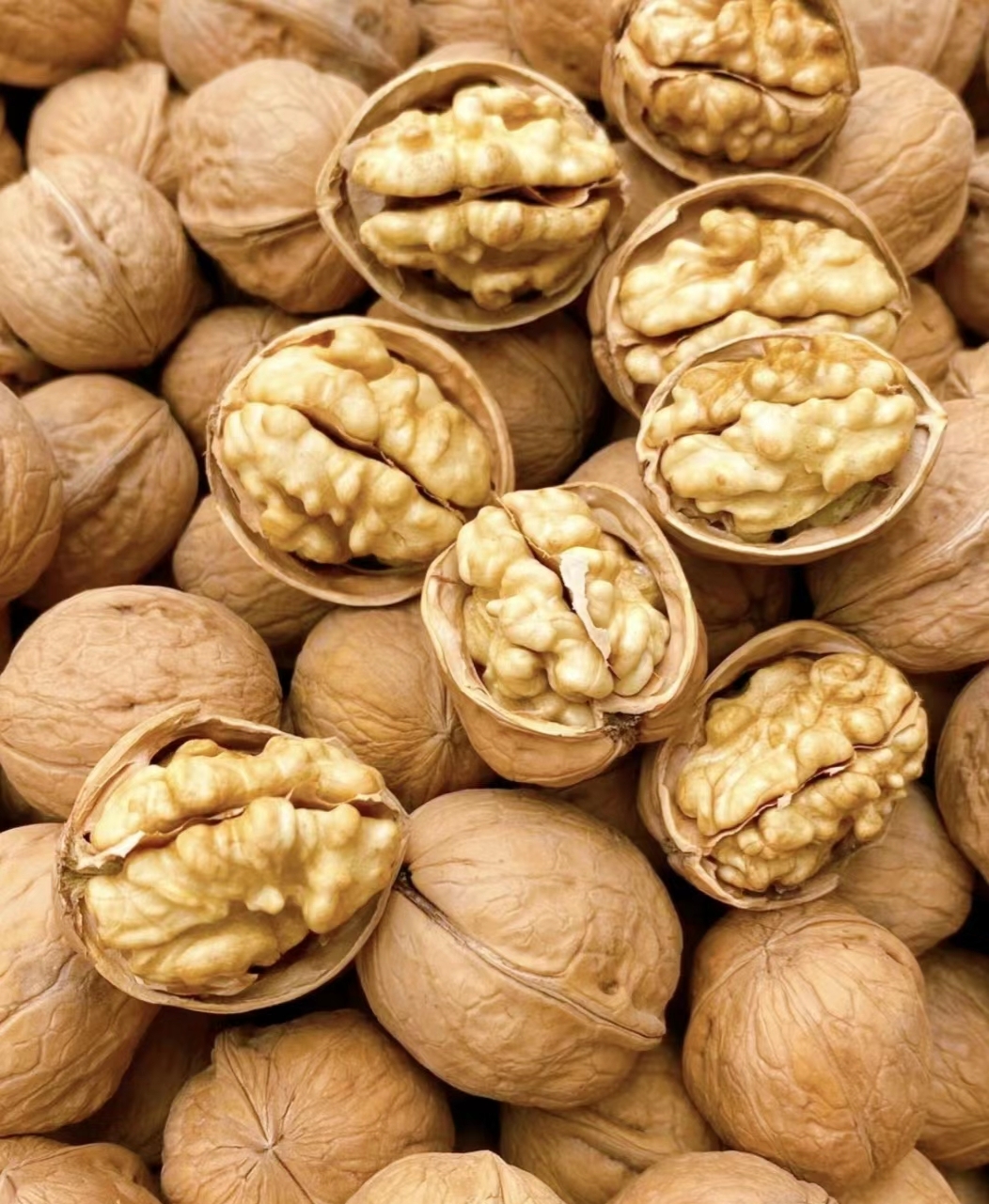 纸皮核桃一斤（皮薄肉厚，徒手可剥，酥脆醇香）