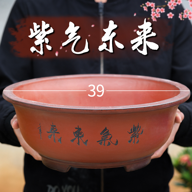 紫砂花盆大口径30以上的种树盆景大花盆陶瓷花盆包邮
