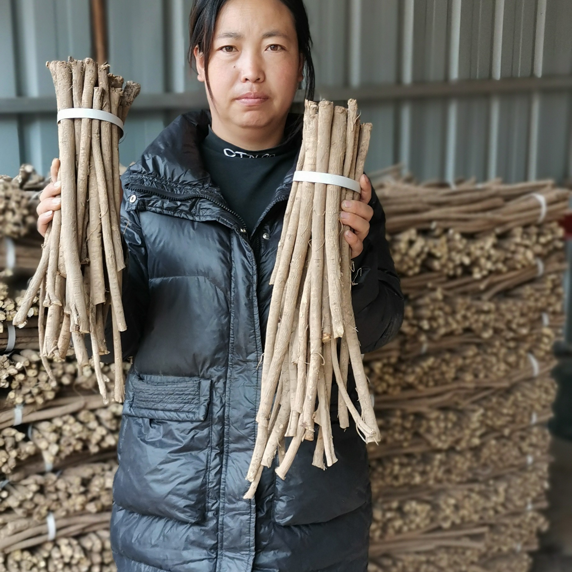 【产地直发】甘肃岷优质高含量新鲜老黄芪250克主根大条泡水煲汤