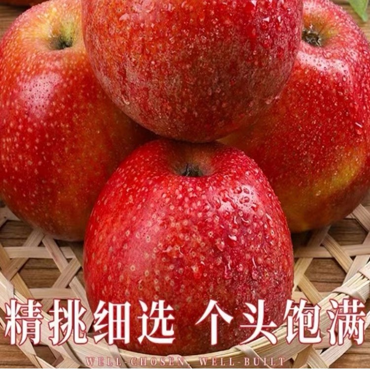 粉面沙甜山西秦冠苹果现摘新鲜水果宝宝辅食老人刮泥