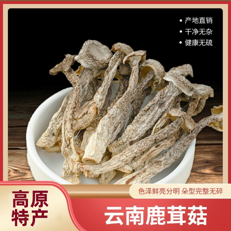 【产地直发】云南高山鹿茸菇农家种植高原特产优质干货鲜美营养100g
