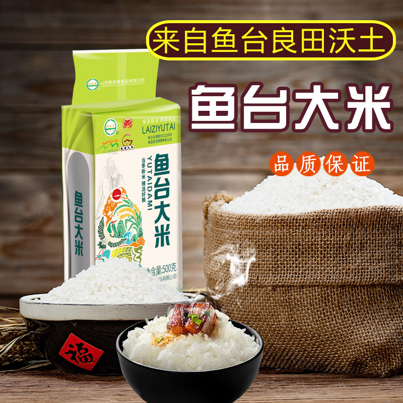 【粉丝福利】鱼台大米粳米500克真空包装