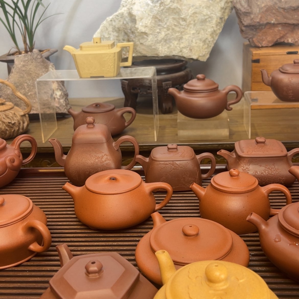 【闪购商品】紫砂茶壶通*月