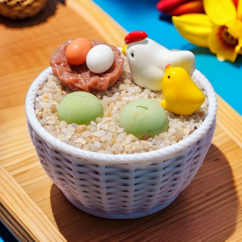 鸽子蛋趣味套装 小鸡一家 多肉肉锥简单易养护