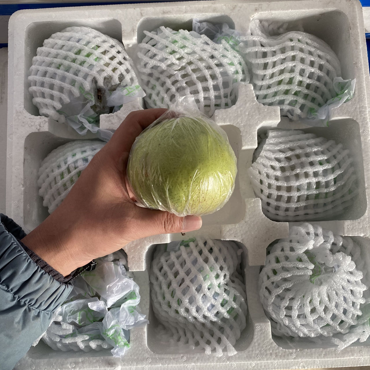 【磊哥新选】玉露香梨整箱6斤装 赤峰水果