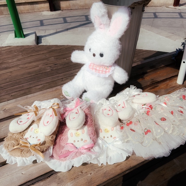 萌宠加厚草莓兔子外套裙子情侣装 小熊泡沫宠物服饰原创