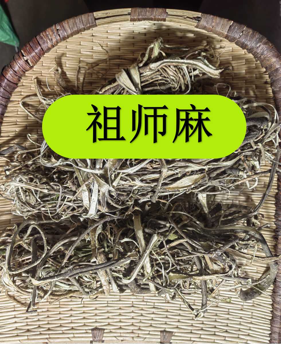 祖丝麻  甘肃大山採摘  非种植的祖丝麻非桔
