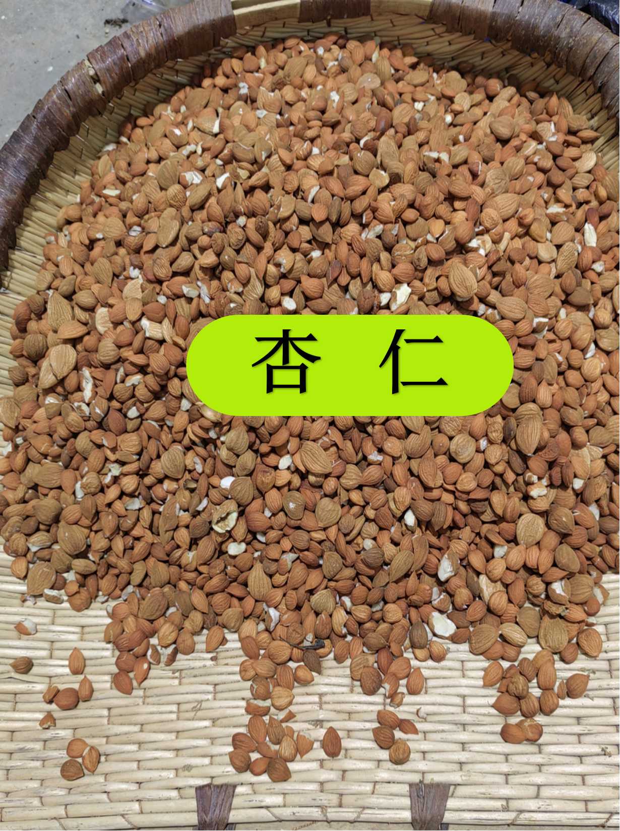 杏仁 【苦 杏仁 】甘肃无硫苦杏仁农户自採的苦杏仁