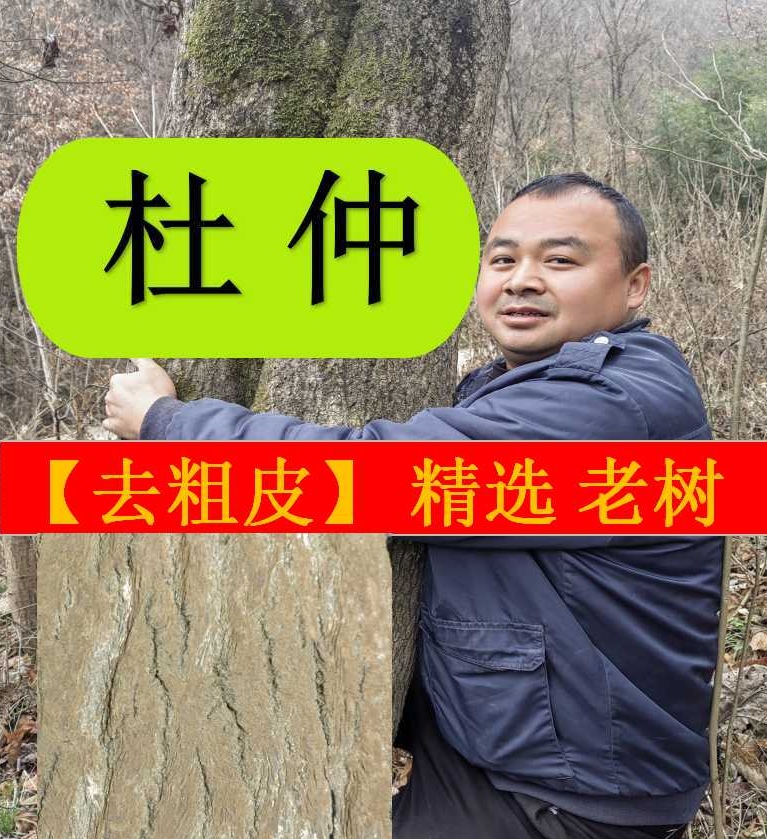 杜仲  野杜仲  去了粗皮的   刮了粗皮的  假一赔十