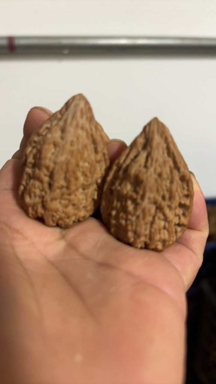 文玩核桃琢鹿南疆石