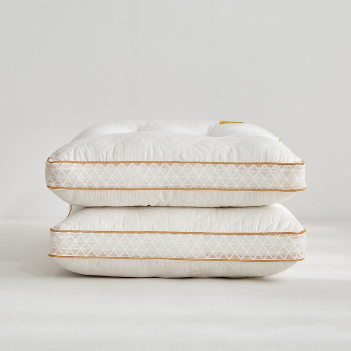 大豆蛋白纤维枕立体网边定型枕头助睡眠酒店枕芯一对