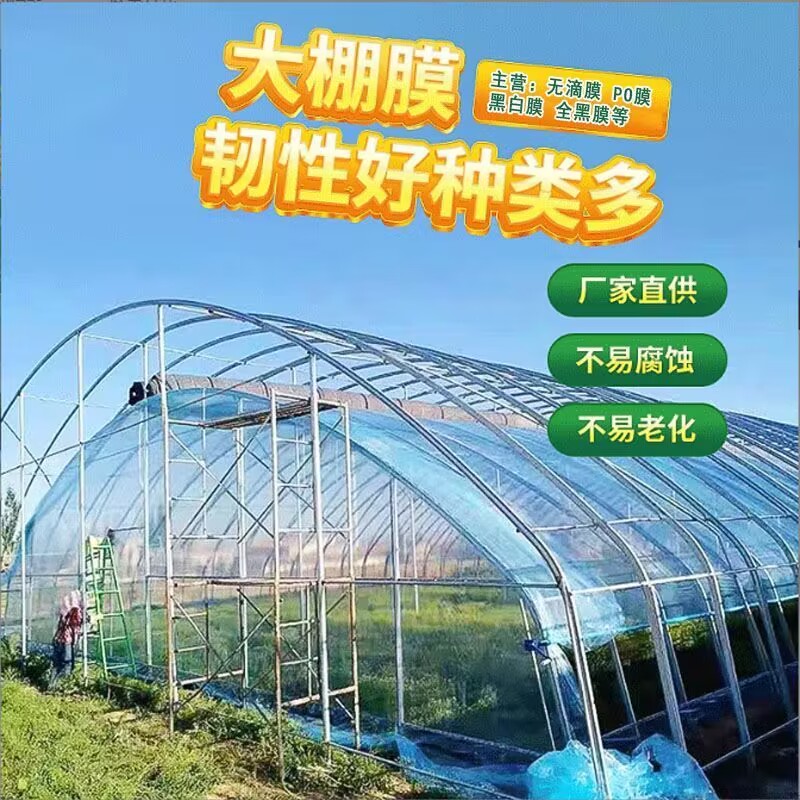 大棚膜抗老化无滴膜保温加厚透明进口高透光PO膜消雾蔬菜种殖薄膜