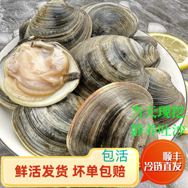 【顺丰发货】到货活无沙美贝当日现挖贝类大个现挑蛤蜊生鲜