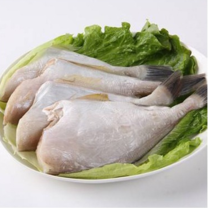 冷冻马面鱼 200-700克/条