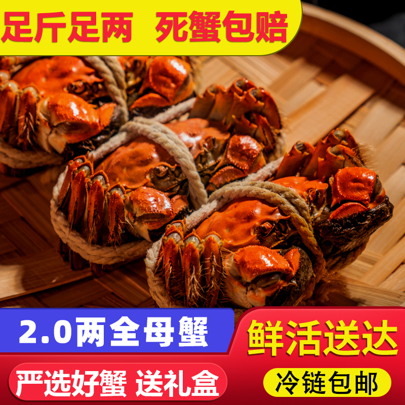 活蟹【买8只送2只】全母蟹2两苏州大闸蟹顺丰京东冷链礼盒吃蟹工具