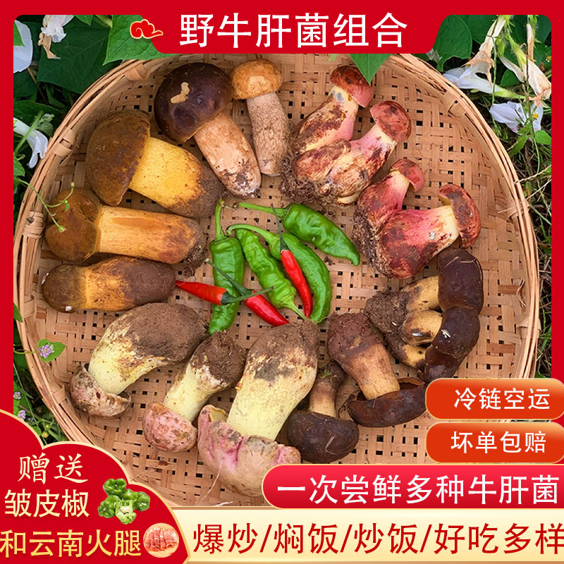 新鲜见手青组合牛肝菌红葱白葱黄牛肝深山黑牛肝美味牛肝菌500g