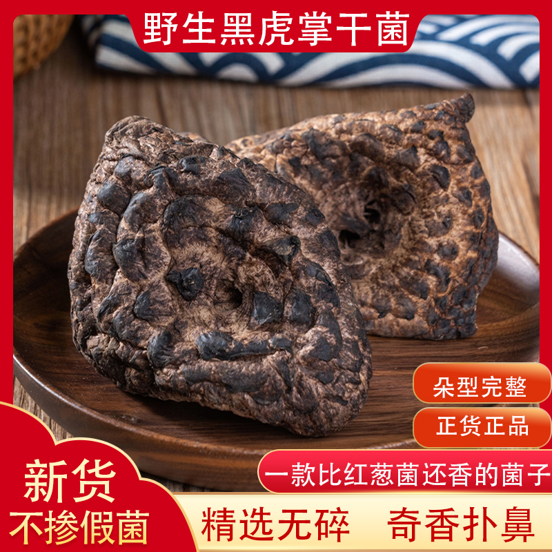 黑虎掌菌干货云南楚雄特产煲汤菌獐子菌农家山区特产食材优质50g