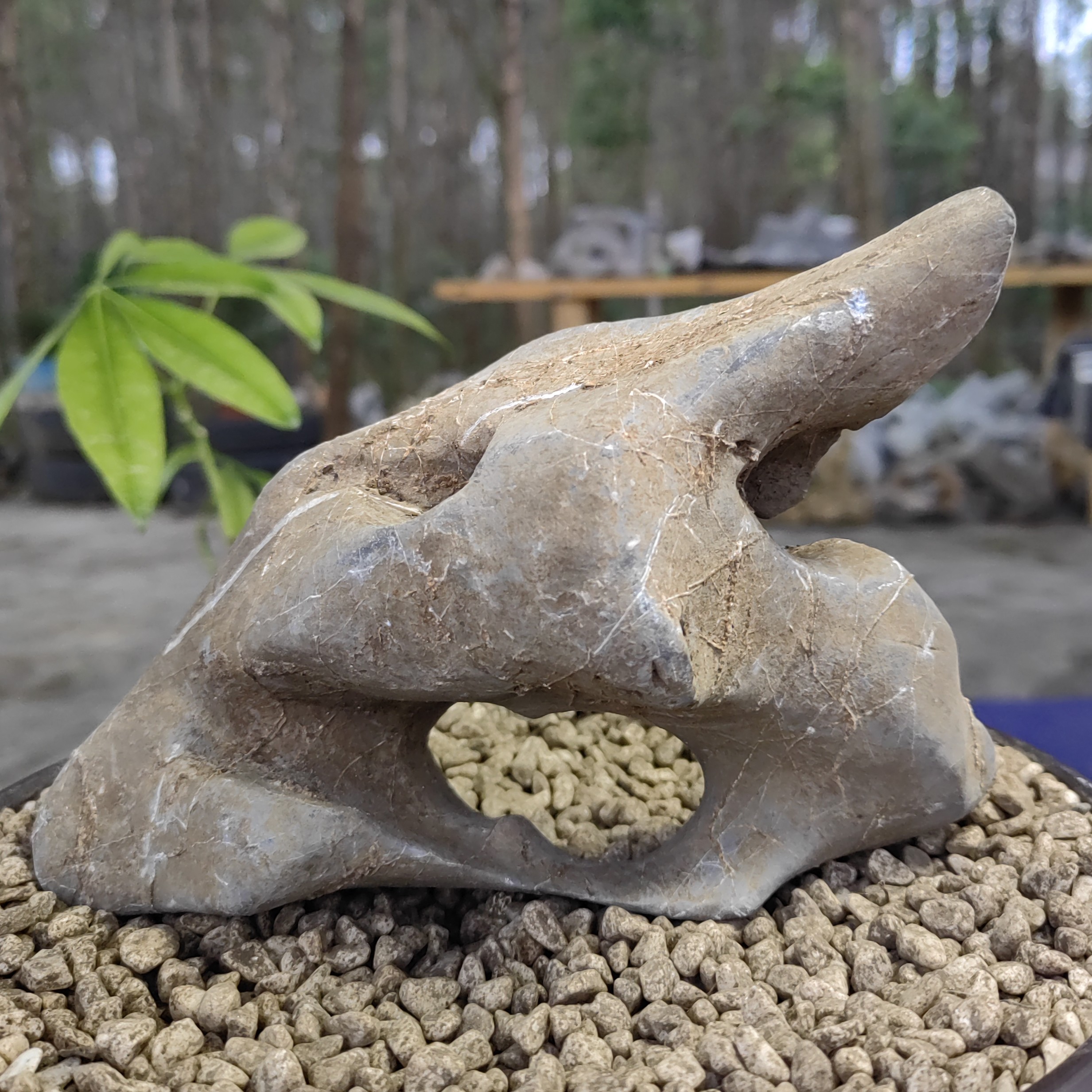 广西太湖石，英石，园林石，平板石，此价格是直播间价格链接，