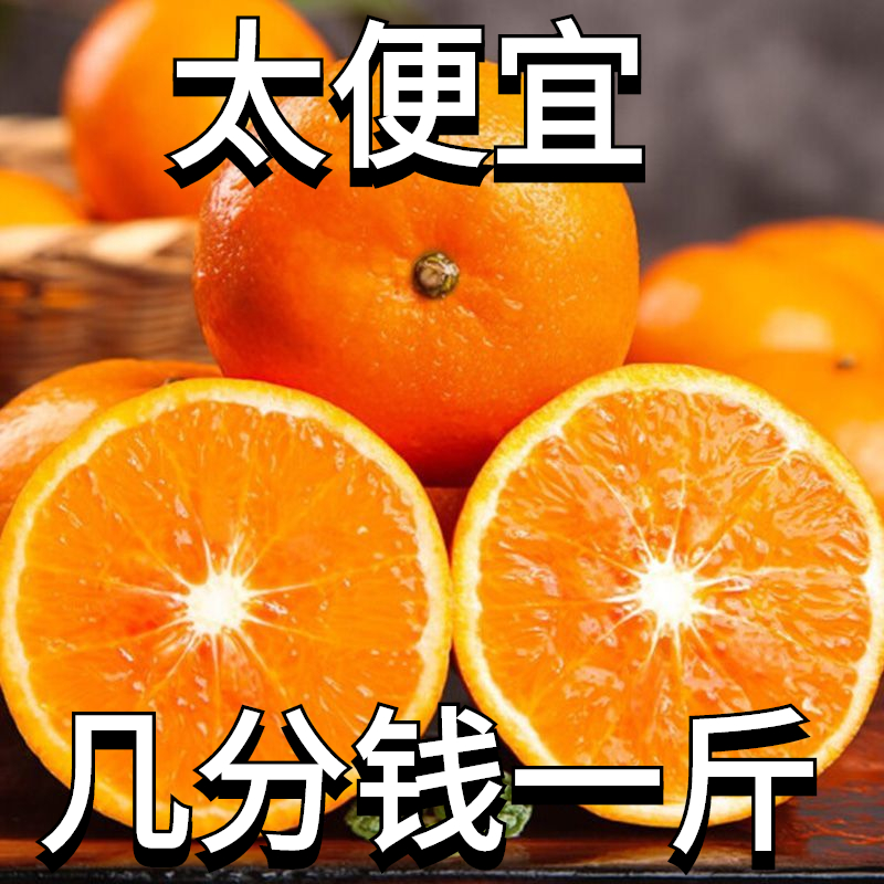 【抢购中】正宗江西赣南脐橙1/5/9斤新鲜采摘水果橙子香甜产地直发