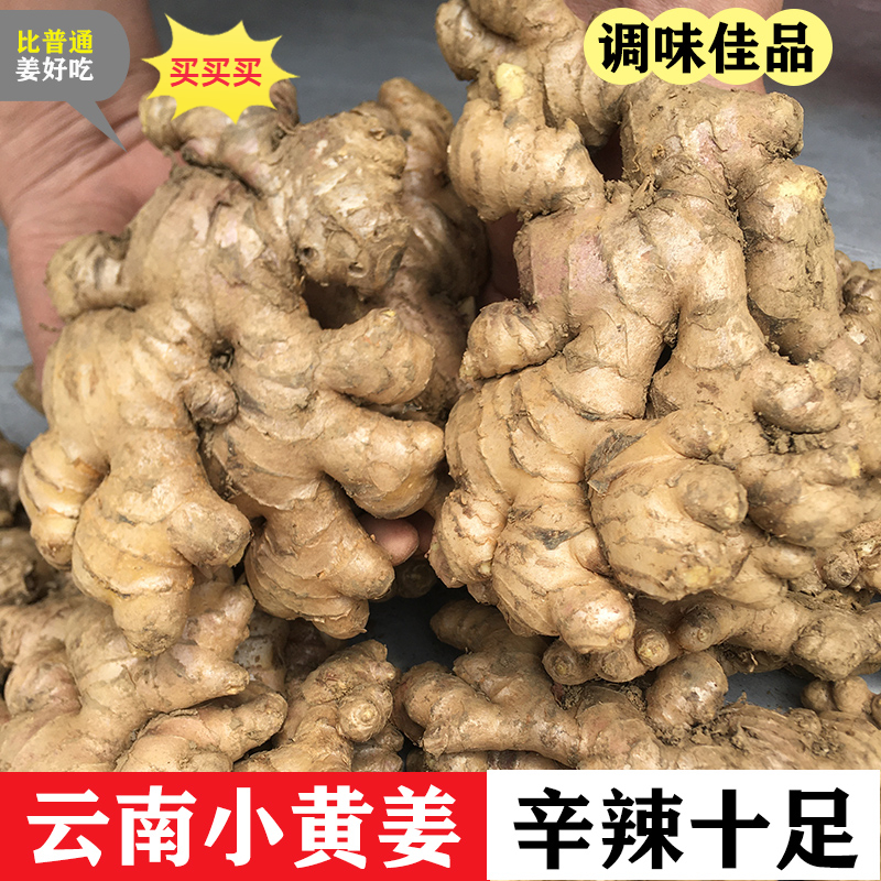 【正宗云南高山小黄姜】鲜姜老姜土姜嫩姜超低价0.5-9斤品质精选