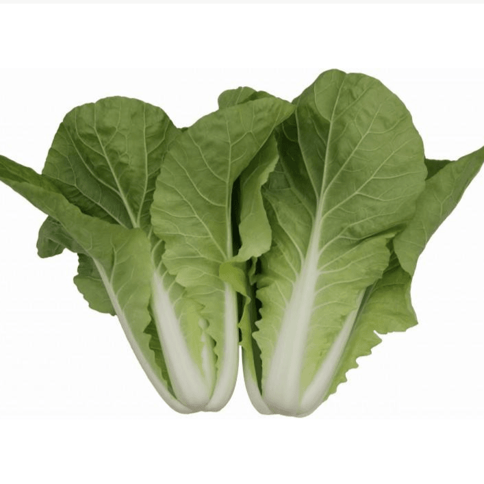 【猴瘦瘦农场】快菜（杭白菜）3斤