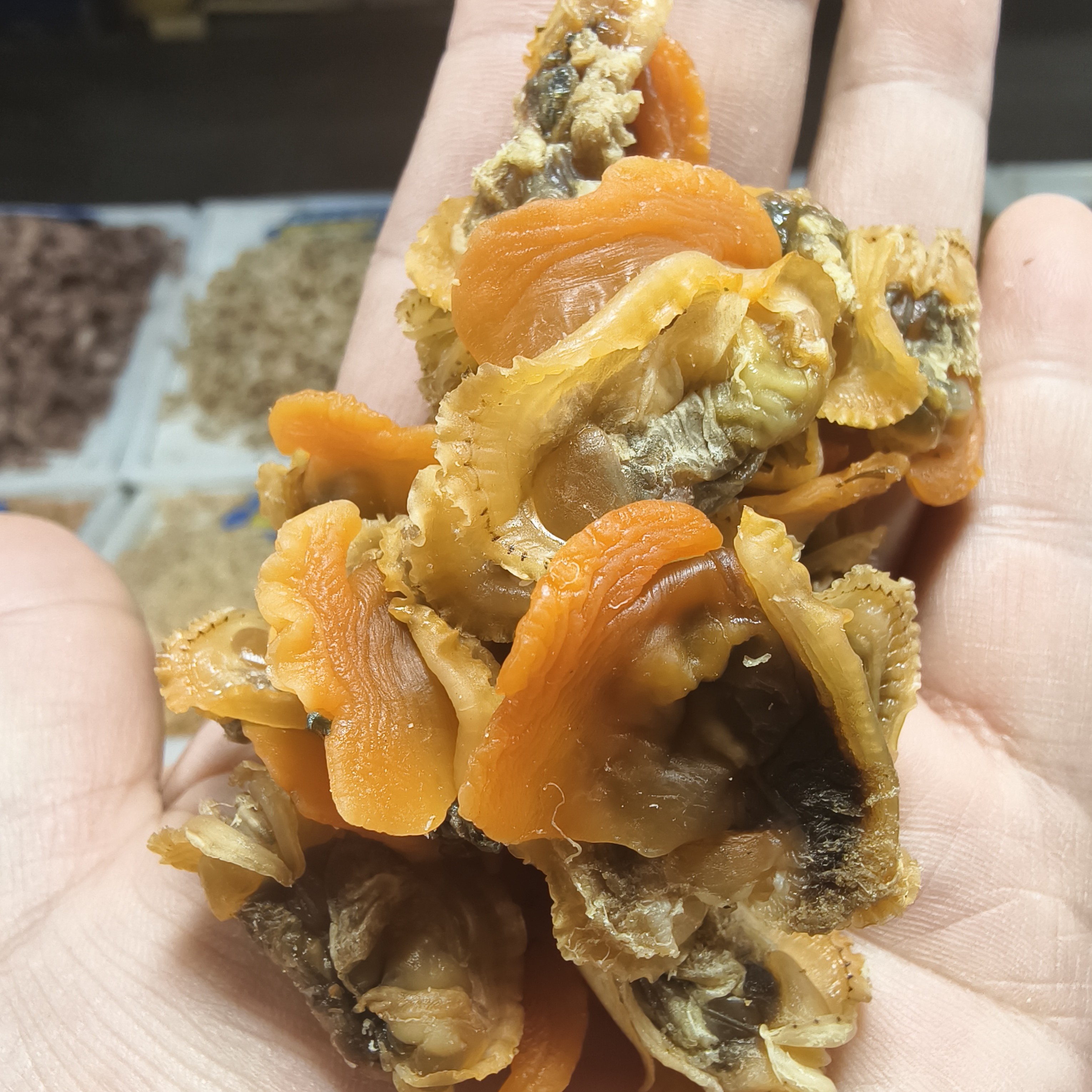 今年新晒红蚶子肉毛蛤肉血蚶子肉赤贝肉嘎啦肉海产干货蛤蜊肉新晒