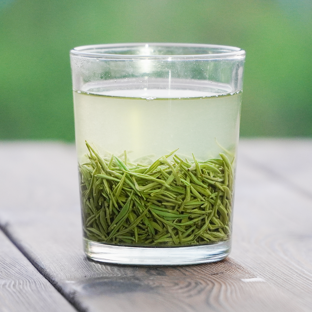 2025年信阳毛尖雨前中芽