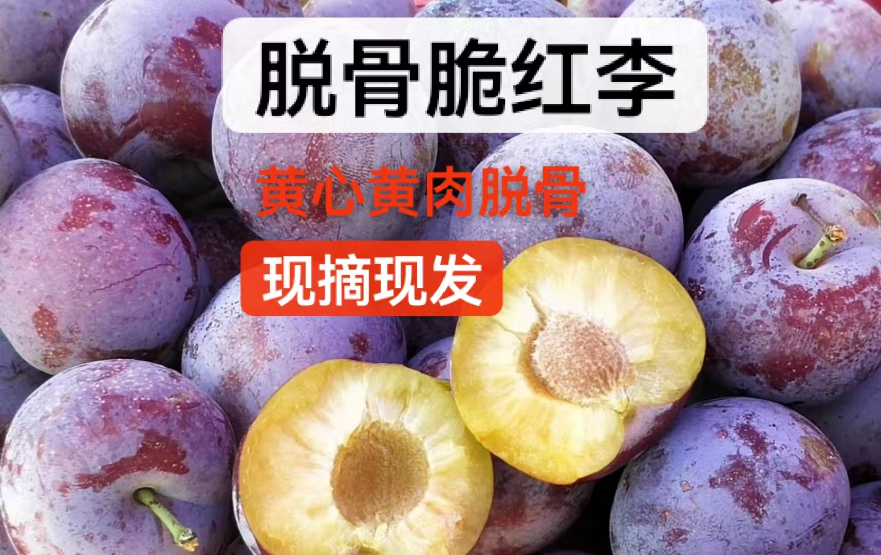 四川脆红李 脱骨黄肉