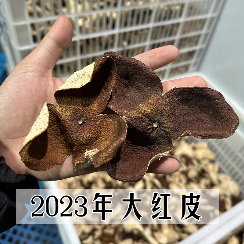 2023年二红皮 广陈皮 茶枝柑干皮 存放3年可为陈皮