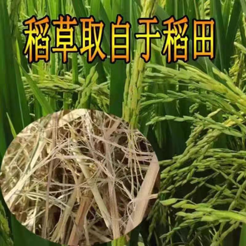 干稻草天然宠物兔子保暖鸡鸭鹅猪冬季垫窝 脚垫玩耍食用粗纤维草
