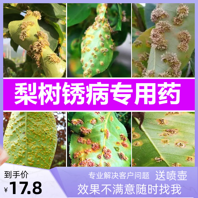 梨锈病梨树专用型杀菌剂套装羊胡子病国光三唑酮戊唑醇白粉病农药