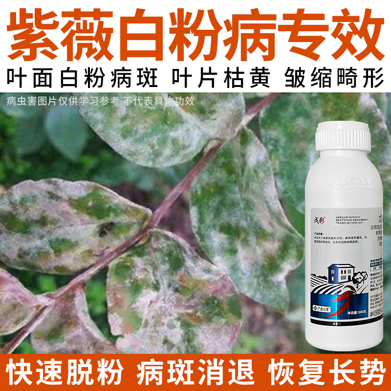 紫薇白粉病专效药戊唑醇锈病黑星病轮纹叶斑病蔬菜果树农药杀菌剂