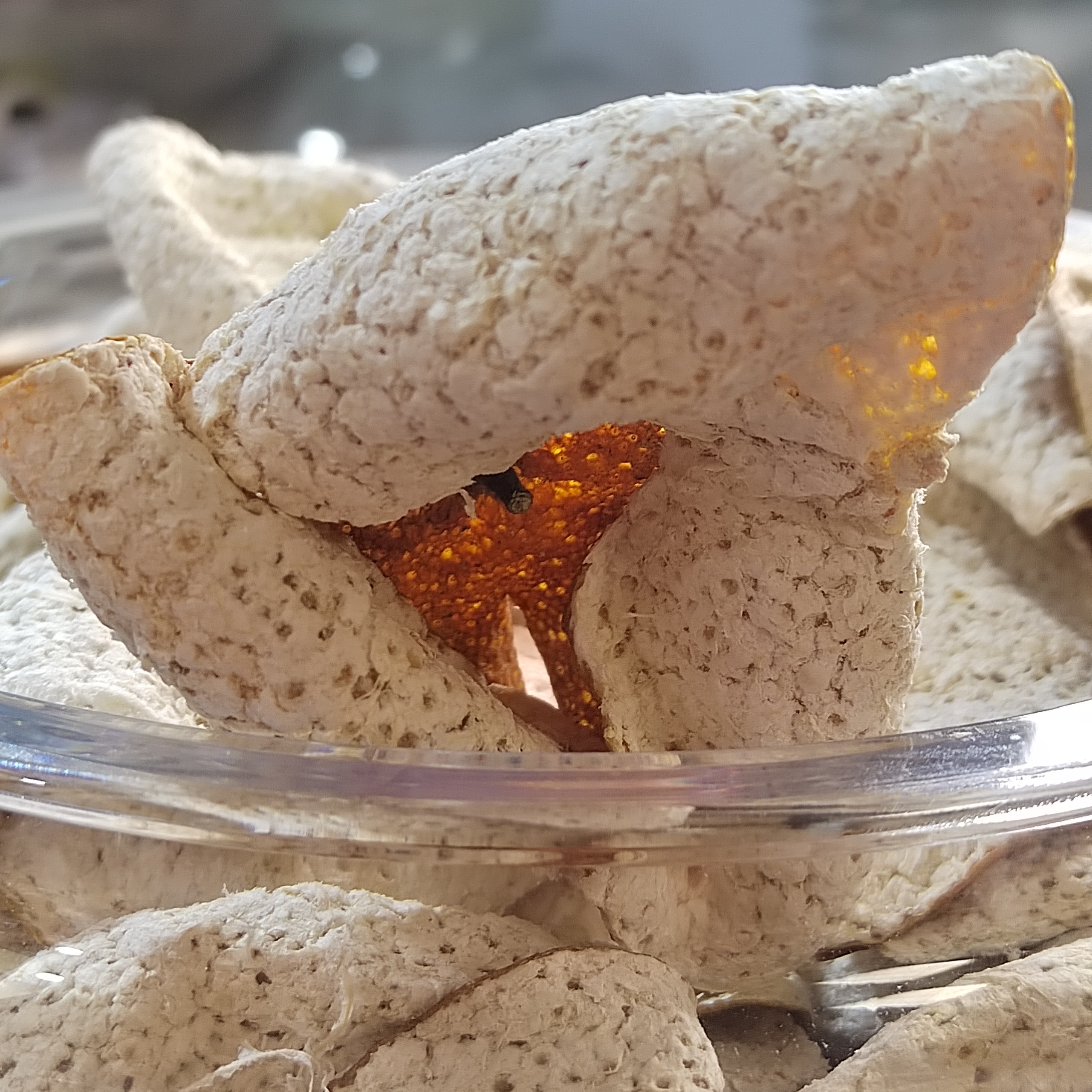 2024年12月1采摘的东甲牛比围大红圈枝7年树龄陈皮油厚润生晒自然