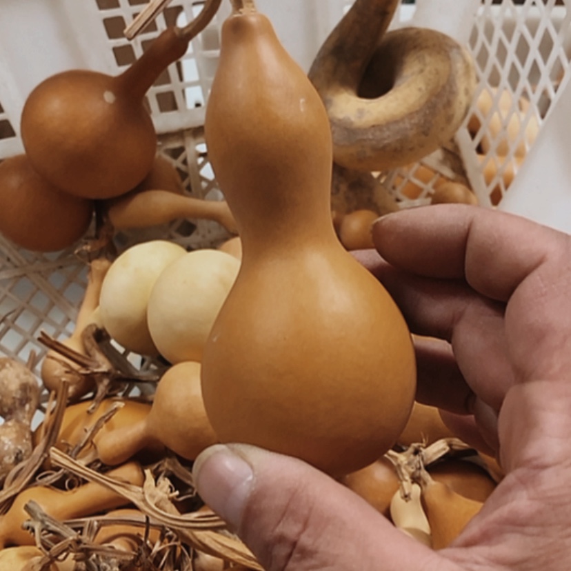 【闪购商品】铜葫芦J****