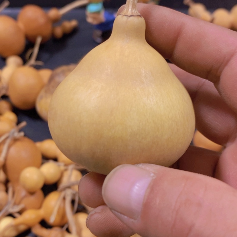 【闪购商品】铜葫芦日*！