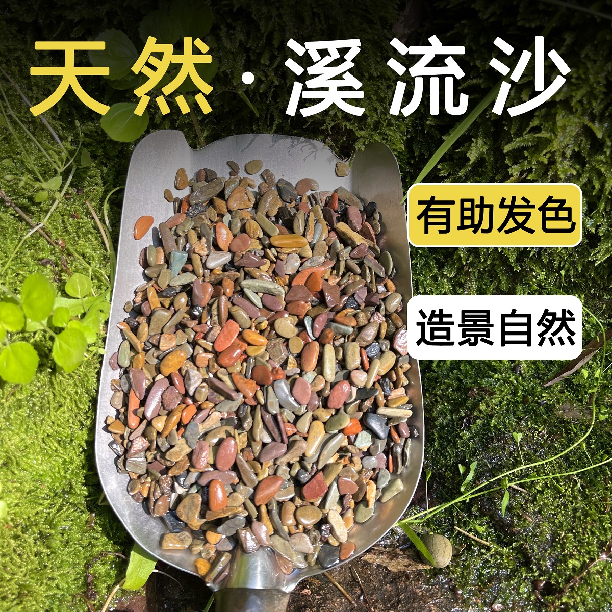 原生缸溪流沙鱼缸造景装饰铺底彩色底砂石乌龟古法缸鳑鲏虾虎河沙