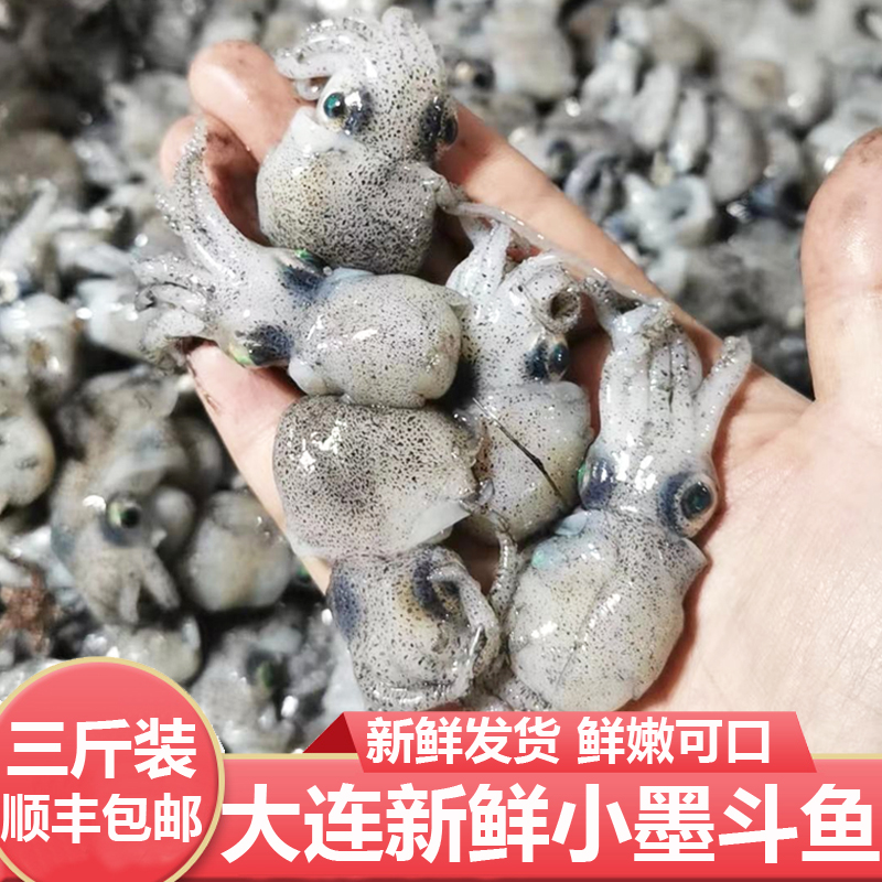 多多海鲜行 大连海鲜特产新鲜小墨斗鱼小墨鱼小乌贼3斤装顺丰包邮