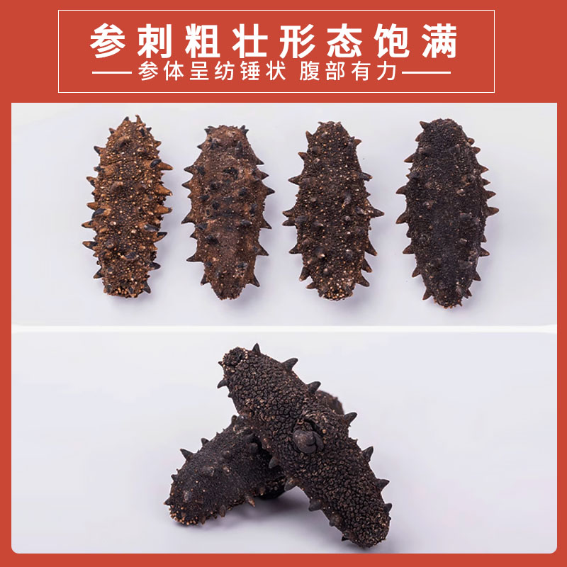 长岛北隍城岛头茬秋参海参淡干70-80头一斤 口感甄选肉质肉厚营养