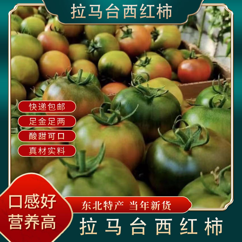 顺丰包邮（拉马台村）种植铁皮柿子番茄西红柿原产地直发酸甜多汁
